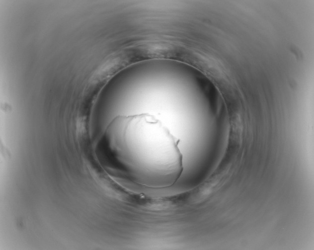 X0000090880278200708101350