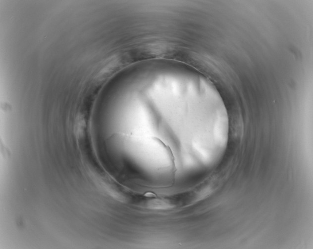 X0000090880279200708101350