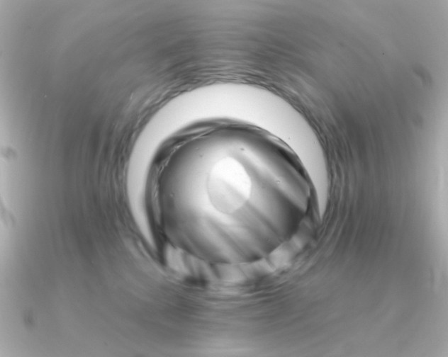 X0000090880280200708101350