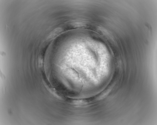 X0000090880281200708101350