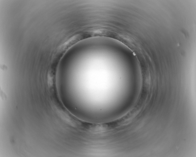 X0000090880282200708101350