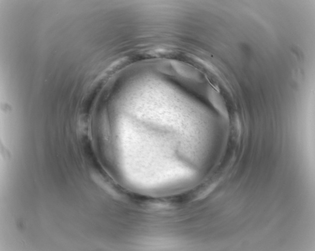 X0000090880284200708101350