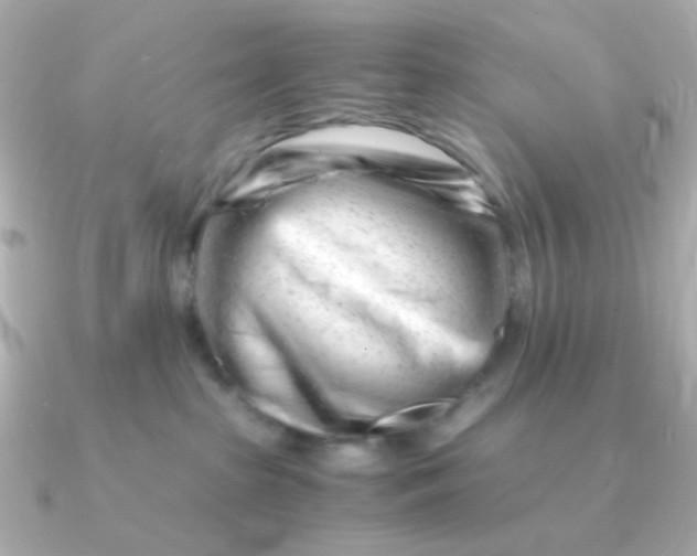 X0000090880285200708101350