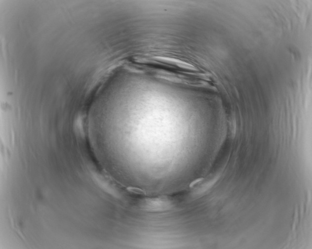 X0000090880286200708101350