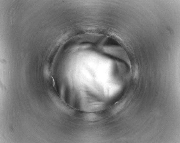 X0000090880287200708101350