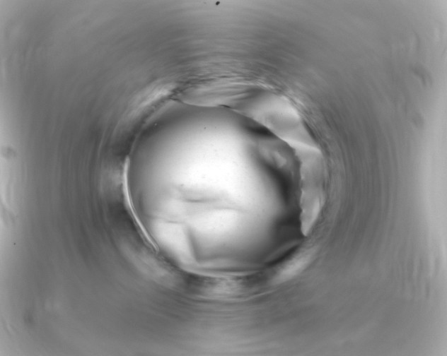 X0000090880288200708101350