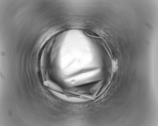 X0000090880291200708101349