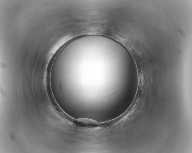 X0000090880292200708101349