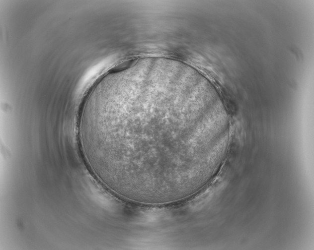 X0000090880293200708101349