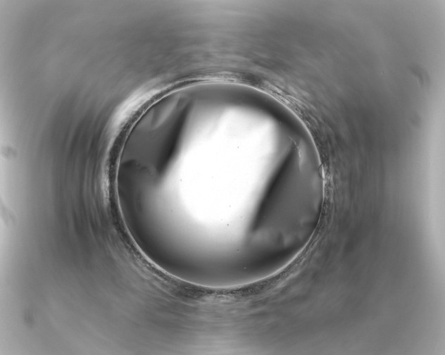 X0000090880294200708101349