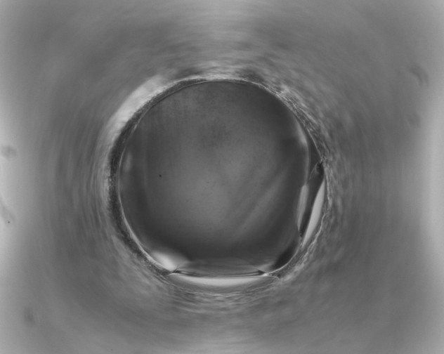 X0000090880295200708101349