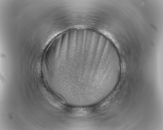 X0000090880297200708101349