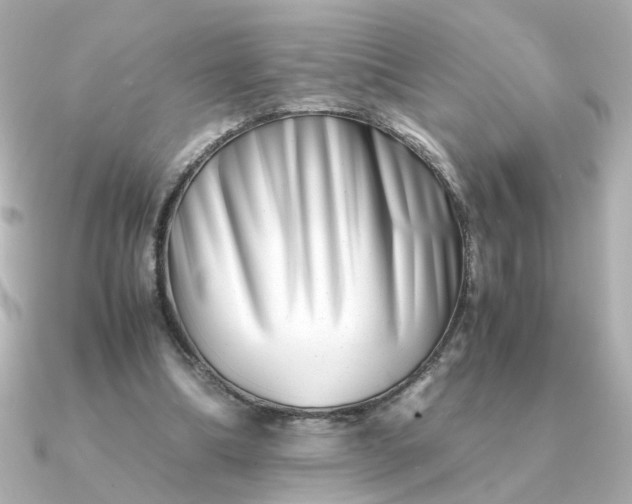 X0000090880298200708101349