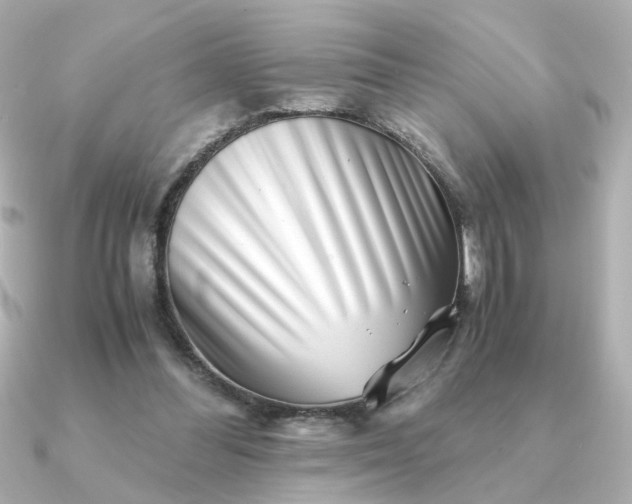 X0000090880300200708101349