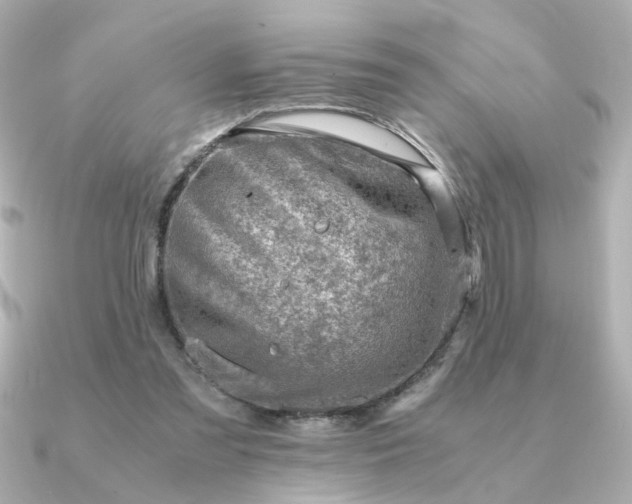 X0000090880301200708101349