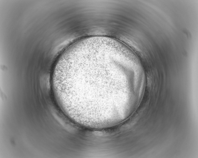 X0000090880302200708101349