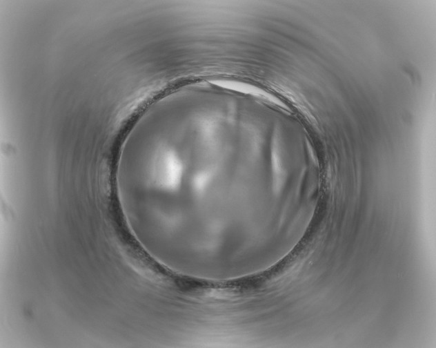 X0000090880303200708101349