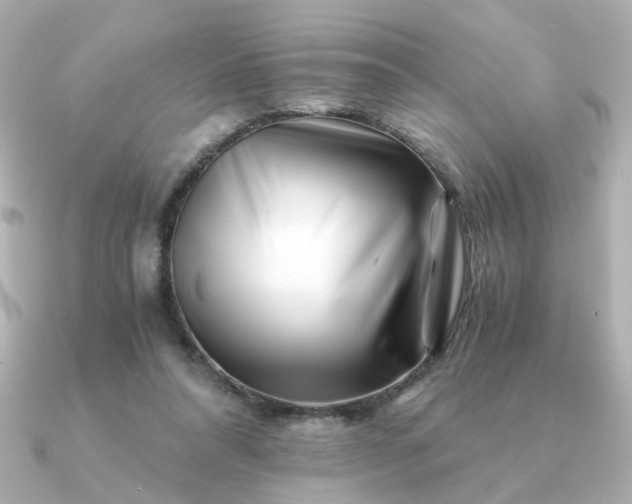 X0000090880304200708101349