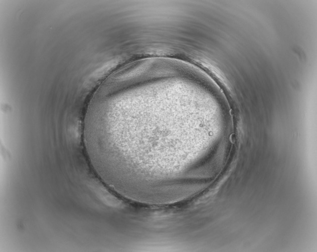 X0000090880305200708101349