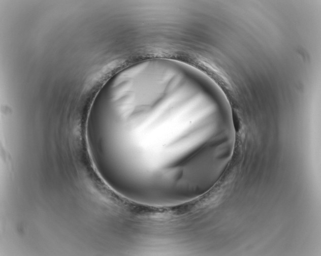 X0000090880306200708101349