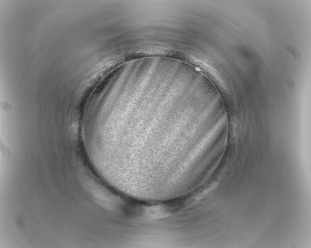 X0000090880309200708101349