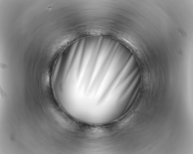 X0000090880310200708101349