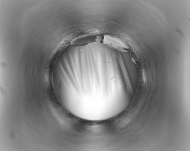 X0000090880312200708101349