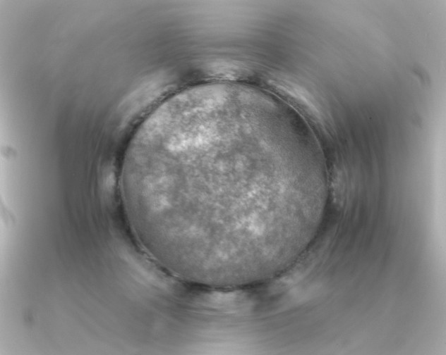 X0000090880314200708101349