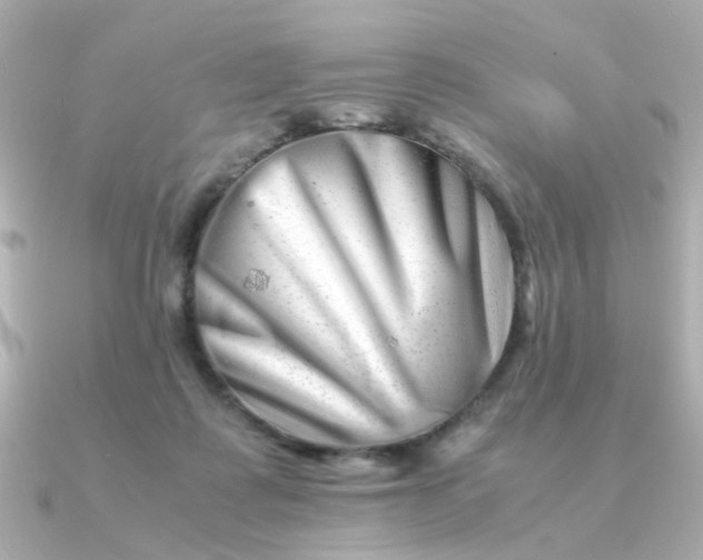 X0000090880315200708101349