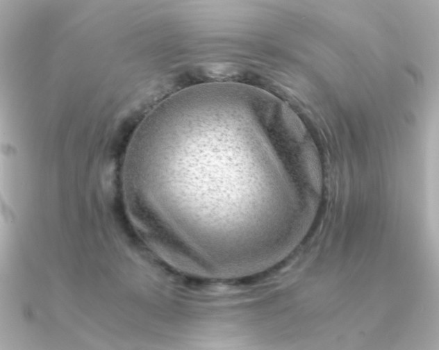 X0000090880319200708101349