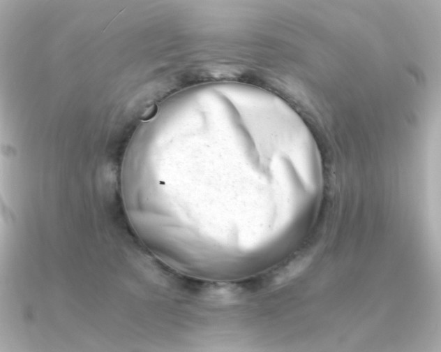 X0000090880321200708101349