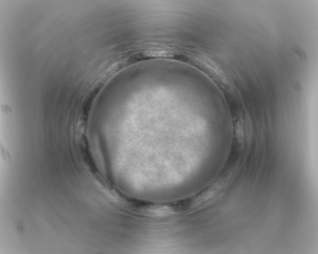 X0000090880322200708101349