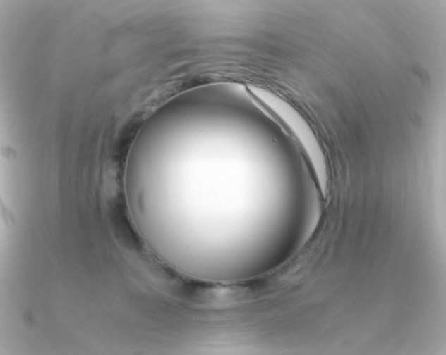 X0000090880323200708101349