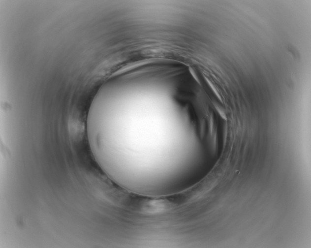 X0000090880324200708101349