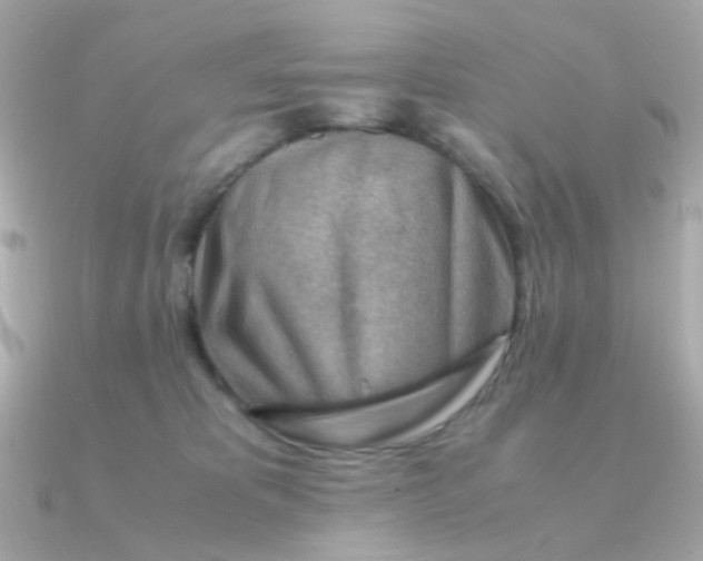 X0000090880325200708101349