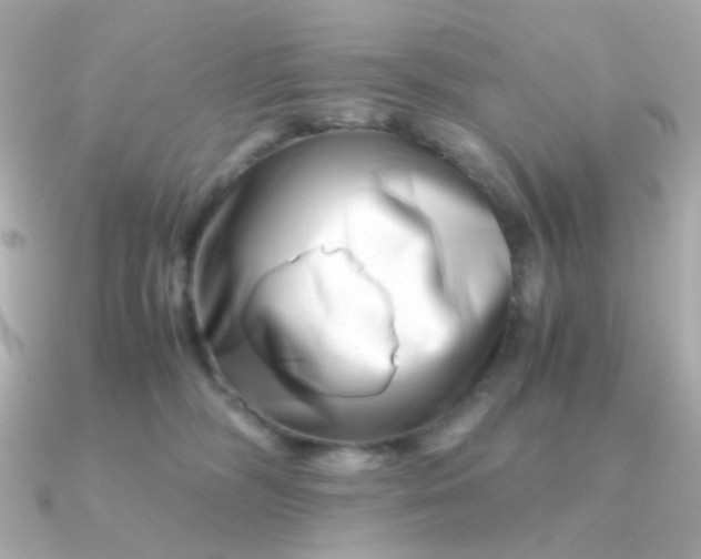 X0000090880326200708101349