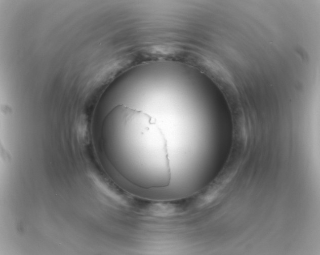 X0000090880328200708101349