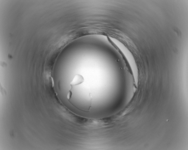 X0000090880329200708101349