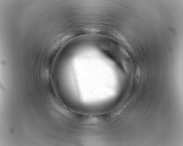 X0000090880330200708101349