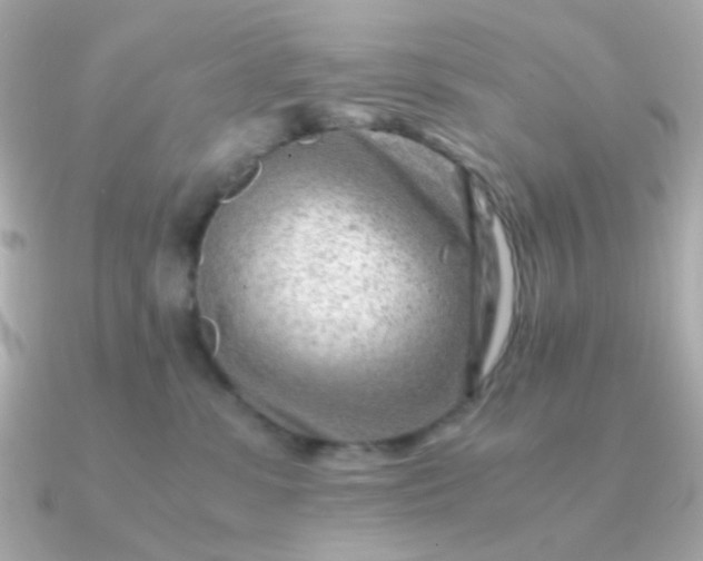 X0000090880331200708101349