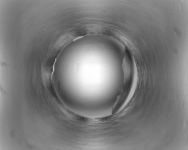 X0000090880333200708101349