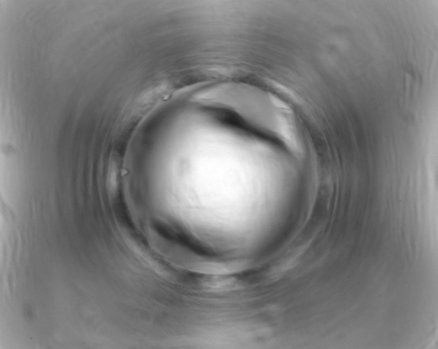 X0000090880334200708101349