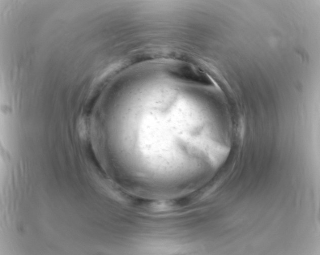 X0000090880335200708101349