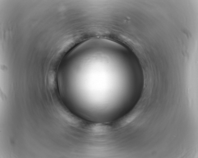 X0000090880336200708101349