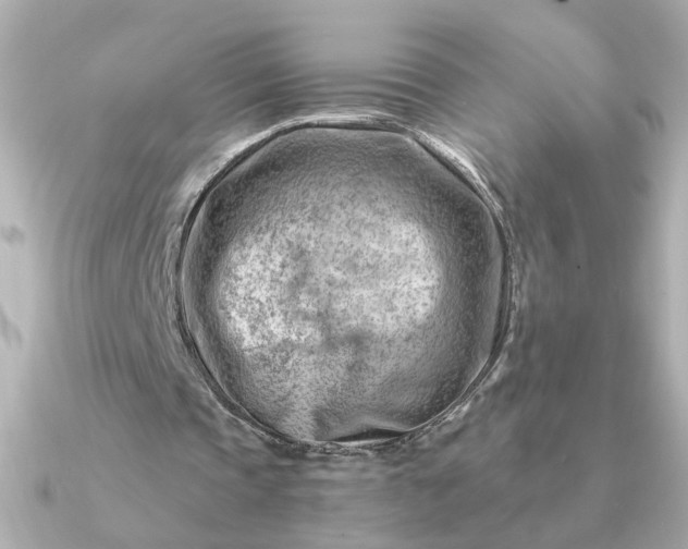 X0000090880337200708101348