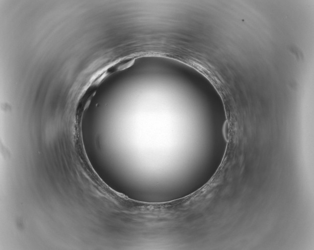 X0000090880338200708101348