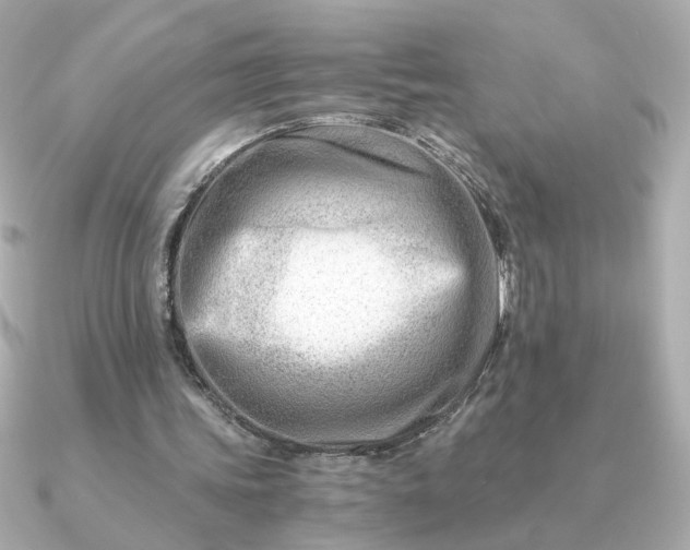 X0000090880339200708101348