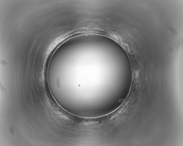 X0000090880340200708101348