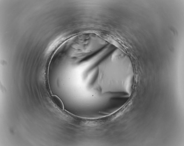 X0000090880341200708101348