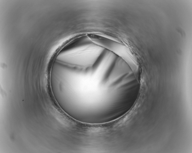 X0000090880342200708101348